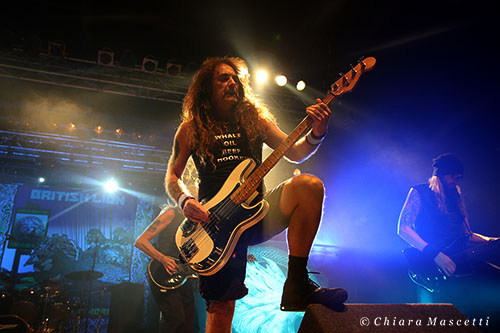 british_lion_07