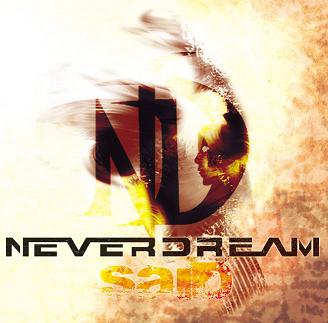 Intervista NeverDream, Gabriele Palmieri