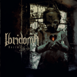 Ibridoma