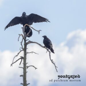 Soulgrind